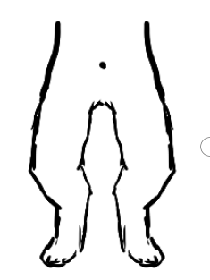 the same image from the last post but with the legs closer together