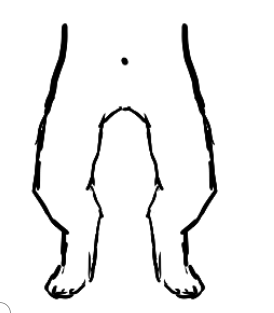 lineart drawn over the previous image